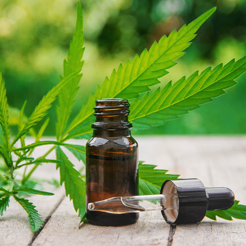cannabis extract and cannabis leaves